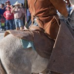 _DSC8478 _DSC8478