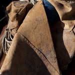 _DSC8498 _DSC8498