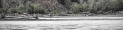 _DSC0110