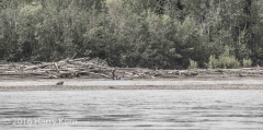 _DSC0132