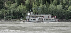 _DSC0225