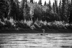 _DSC9317