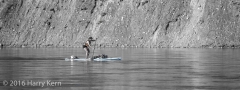 _DSC9335