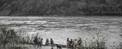 _DSC6595