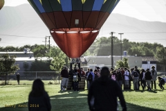_DSC8163