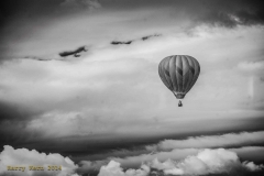 _IRR3103