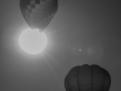 _aaa6213