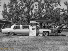 _DSC4880