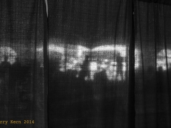 _DSC5083