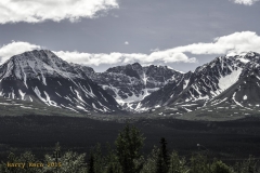 _DSC7447