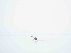 _DSC8997