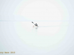 _DSC9004