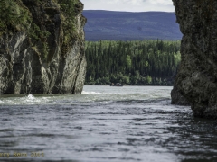 _DSC0729