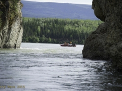 _DSC0985