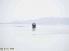 _DSC8888