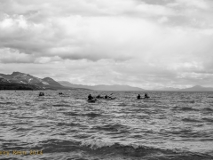 _DSC7783