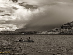 _IRR2870